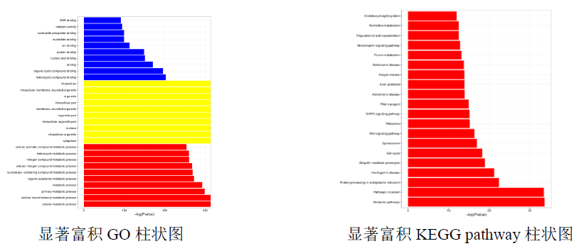 利来国际·w66(中国)老牌国际官网