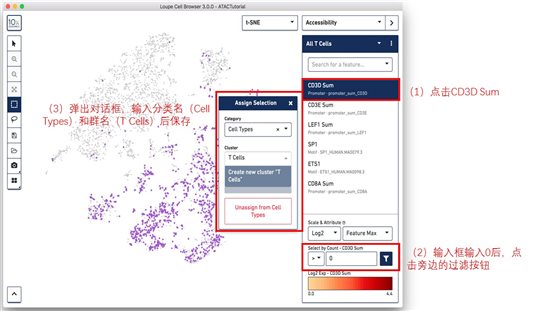 利来国际·w66(中国)老牌国际官网