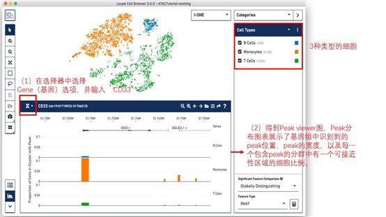 利来国际·w66(中国)老牌国际官网