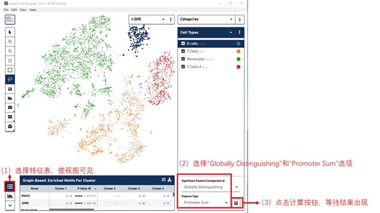 利来国际·w66(中国)老牌国际官网