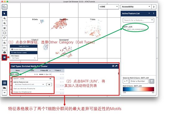 利来国际·w66(中国)老牌国际官网