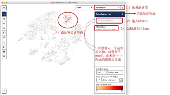 利来国际·w66(中国)老牌国际官网