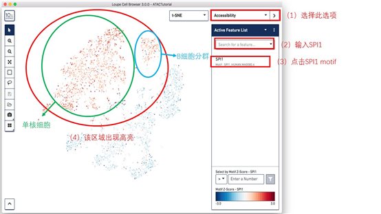 利来国际·w66(中国)老牌国际官网