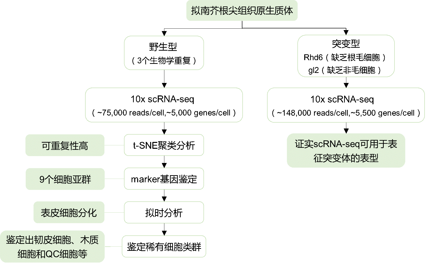 利来国际·w66(中国)老牌国际官网