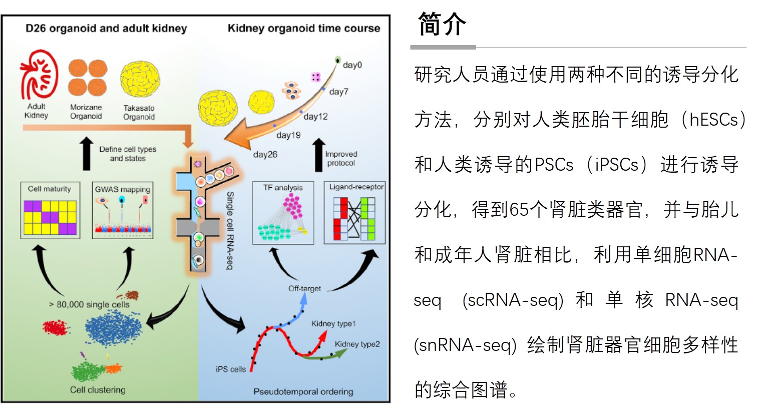 利来国际·w66(中国)老牌国际官网