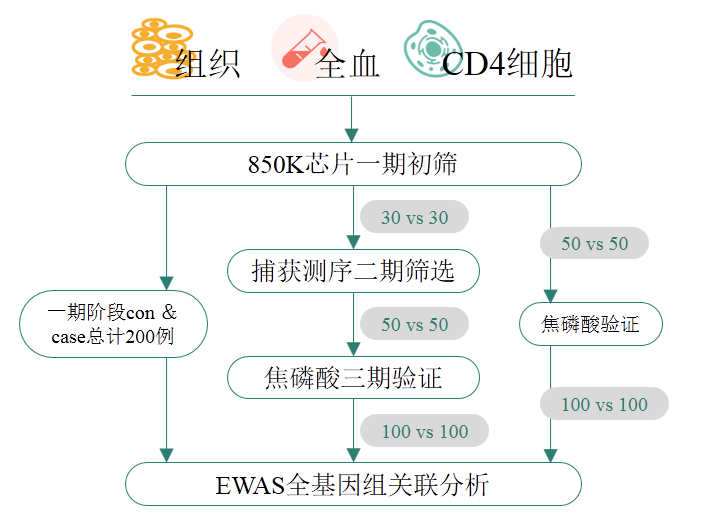 利来国际·w66(中国)老牌国际官网