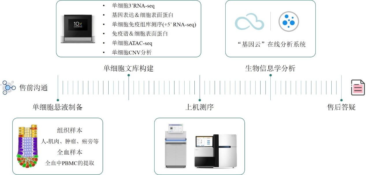 利来国际·w66(中国)老牌国际官网